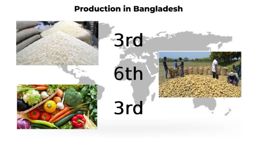 On a global scale, Bangladesh ranks 3rd in both rice and vegetable production, and ranks 6th in potato production