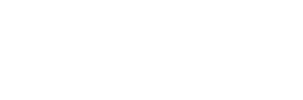 Business Inspection Logo