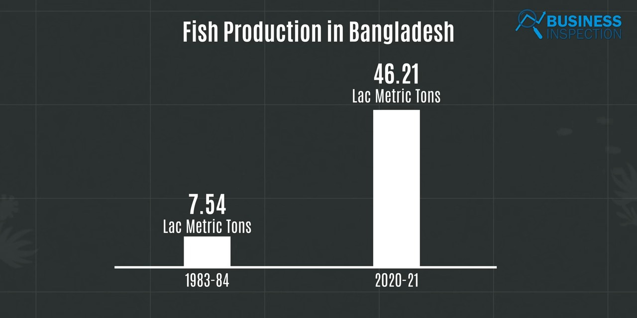 The country produced only 7.54 lakh metric tons of fish in fiscal year 1983-84, but this figure exceeded 46.21 lakh metric tons in fiscal year 2020-21.